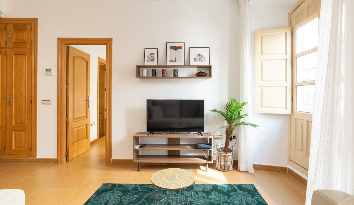 apartment-malaga-city-rental