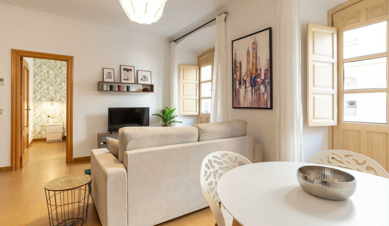 apartment-malaga-city-rental